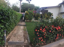 Apartamento en Las Terrenas, foto 3