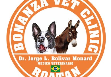 Gibson Bight, Bonanza Vet Clinic, Roatan, Roatan, Islas de la