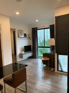 /international/th/soi-ratchadaphisek-36-yaek-19-7-chankasem-chatuchak-bangkok-10900-thailand-chatuchak-bangkok-340106638369/