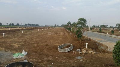 /international/in/kankipadu-krishna-andhra-pradesh-250107790187/