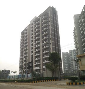/international/in/sector-76-gurgaon-haryana-250108841049/