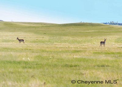 /international/us/tbd-tract-13-s-rockaway-ct-cheyenne-wy-110097642298/?lang=en