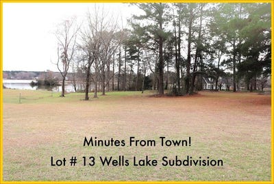 /international/us/lot-13-lakeview-dr-cordele-ga-110098936175/?lang=zh-tw