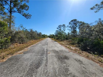 /international/us/3348-forsythia-avenue-lake-placid-fl-110098181708/?lang=it