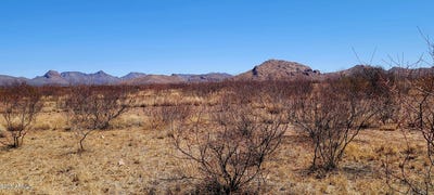 /international/us/lot-12-13a-e-whitaker-lane-douglas-az-110098595532/?lang=zh-tw