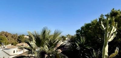 /international/es/orihuela-costa-valencian-community-120098411726/?lang=zh-tw