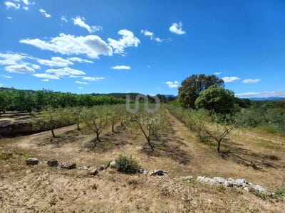 /international/es/tarragona-catalonia-310098865075/?lang=en