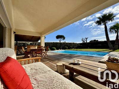 /international/fr/lecci-corsica-310098947017/?lang=it