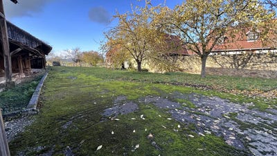 /international/fr/altenheim-alsace-310098923118/?lang=zh-tw