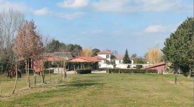 /international/fr/mirepoix-midi-pyrenees-120098367958/?lang=zh-cn