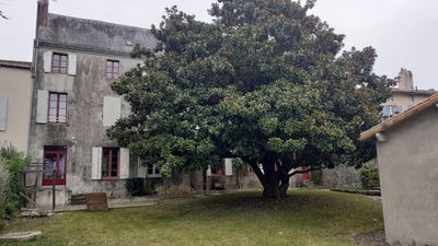 /international/fr/parthenay-charente-310098945206/?lang=zh-tw