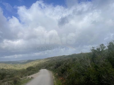 /international/pt/lagos-faro-310098801636/?lang=zh-cn