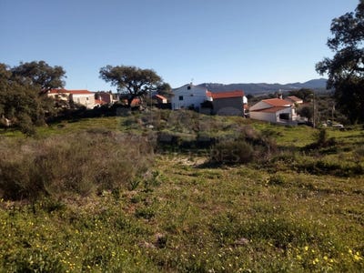 /international/pt/idanha-a-nova-castelo-branco-310098802338/?lang=zh-cn