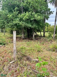 /international/py/loma-guazu-del-barrio-santa-ana-caacupe-cordillera-caacupe-cordillera-department-310098414738/