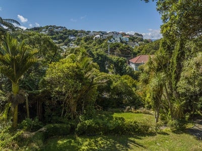 /international/nz/wadestown-road-wadestown-gisborne-320098359355/