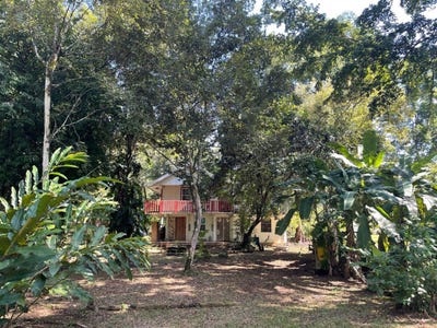 /international/bz/6-miles-from-the-thriving-punta-gorda-town-punta-gorda-town-330120597341/