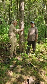 /international/bz/bocawina-national-park-silk-grass-330120597342/