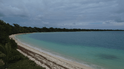 /international/vu/lot-2-aimbuei-bay-aore-island-aore-island-330108528966/