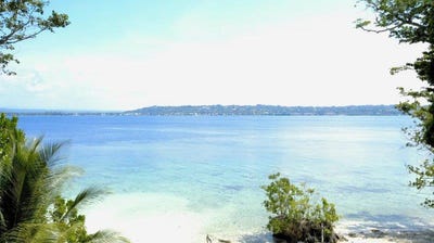 /international/vu/lot-41-42-43-forest-beach-aore-island-330108528947/