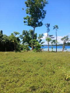/international/vu/aore-point-aore-island-espiritu-santo-330108528951/