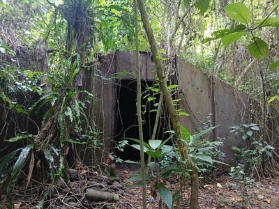 /international/vu/lot-3-aore-coffee-plot-aore-island-330107647095/