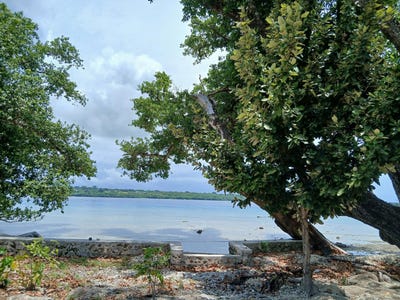 /international/vu/aore-point-aore-island-330108528980/