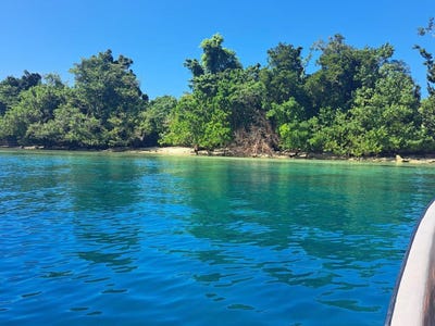 /international/vu/forest-beach-aore-island-santo-330107678134/