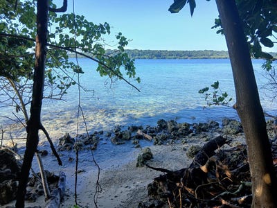 /international/vu/64-aore-point-aore-island-espiritu-santo-aore-island-330108528973/