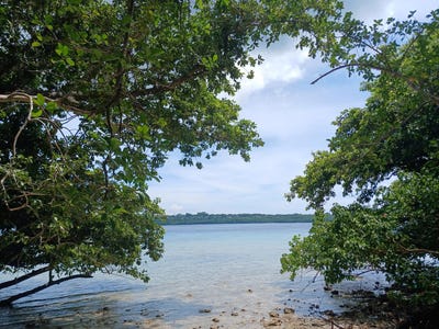 /international/vu/aore-point-aore-island-espiritu-santo-330108528941/
