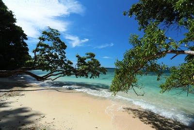 /international/vu/natanara-rd-espritu-santo-330108528950/