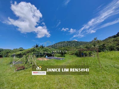 /international/my/balik-pulau-penang-370120240145/