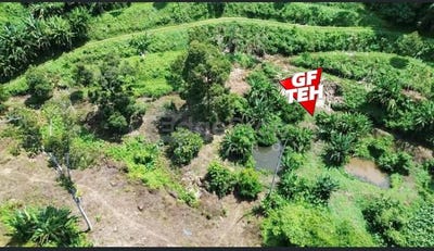 /international/my/laluan-meranti-tmn-kuala-kangsar-kuala-kangsar-perak-370120398768/
