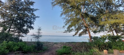 /international/my/kg-merabang-lekar-setiu-terengganu-370120269262/
