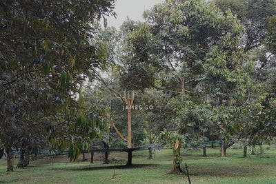 /international/my/krubong-melaka-370120271267/