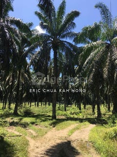 /international/my/a-kuala-kangsar-kuala-lumpur-370120288428/