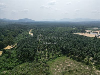 /international/my/kuala-krai-kelantan-370120437670/