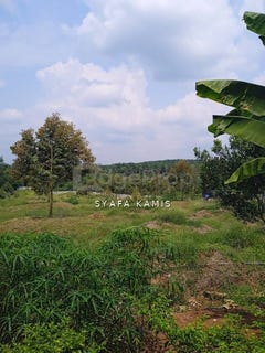 /international/my/segamat-johor-370120287190/
