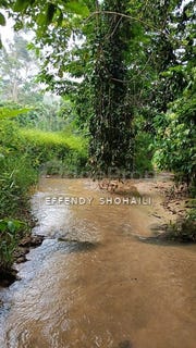 /international/my/jelebu-negeri-sembilan-370120596899/