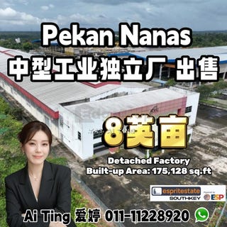 /international/my/pekan-nanas-pekan-nenas-johor-370120385373/