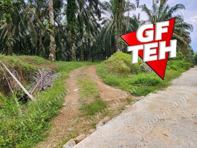 /international/my/larut-matang-perak-370120400114/