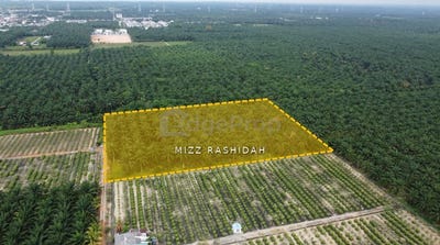 /international/my/sungai-pelek-sepang-selangor-370120161079/