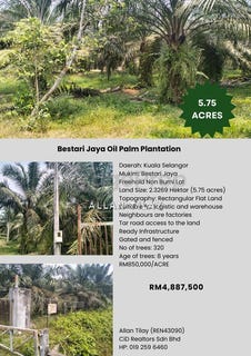 /international/my/kuala-selangor-selangor-370120480159/