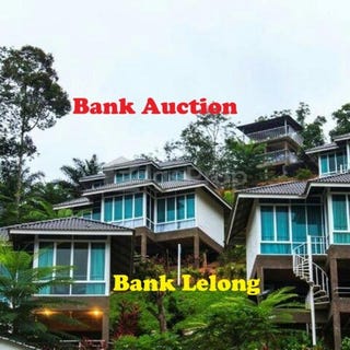/international/my/kampung-baru-cheroh-seksyen-4-raub-sega-pahang-370120314781/