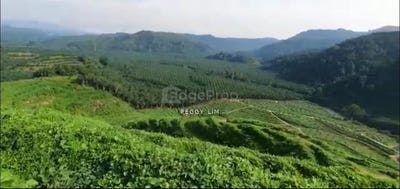 /international/my/kuala-kangsar-perak-370120385355/