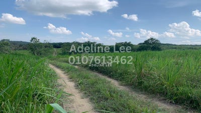 /international/my/jalan-sungai-tiram-ulu-tiram-johor-ulu-tiram-johor-370120494568/