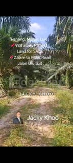 /international/my/maran-pahang-370120277460/