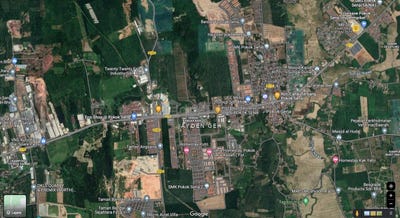 /international/my/pokok-sena-kedah-370120242544/