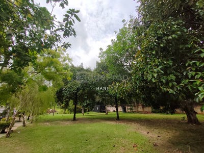 /international/my/kuang-sungai-buloh-selangor-370120327440/