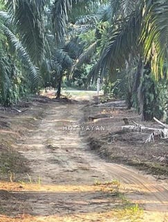 /international/my/sepang-selangor-370120444170/