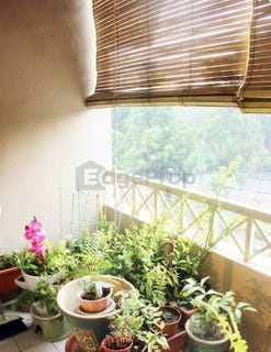 /international/my/seksyen-9-jalan-tengku-ampuan-rahimah-shah-alam-selangor-370120212405/